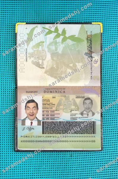 Dominican Passport photo look